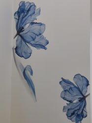 -DEM缔怡美科技美容