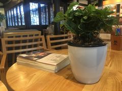 -猫的天空之城概念书店(杭州南宋御街店)