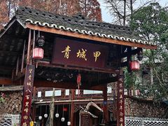 -青城甲(青城山店)