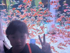 -海合安成都极地海洋公园