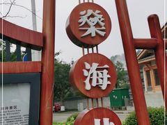 -燊海井