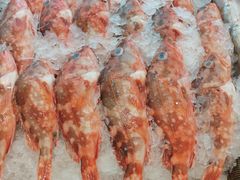 -新丁香海鲜酒店(银海商贸城店)