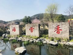 -香雪海