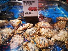 -盒马X会员店(王府井奥莱UP TOWN店)