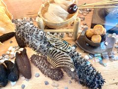 -喜上喜鸡煲翅(吉大店)