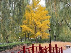 -玲珑塔公园