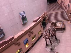 -陕西自然博物馆