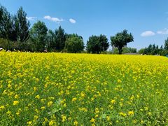 -长白岛森林公园