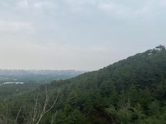 -乌素图国家森林公园