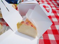 -昆山城市生态森林公园