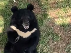 -合肥野生动物园