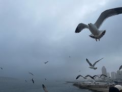 -星海广场
