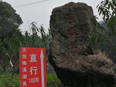 -天怡·鱼工厂(梅溪湖店)