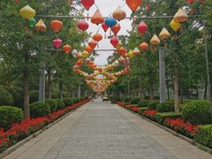 -南宫五洲植物乐园