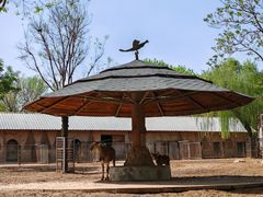 -石家庄市动物园