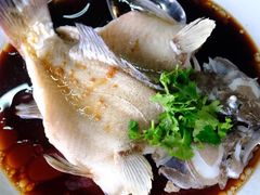 港蒸东星斑-旗鱼海番村(Orang Asli)