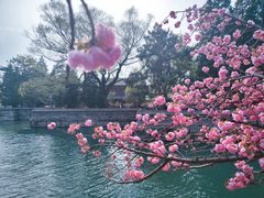 -颐和园