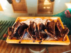 -食家鸽园