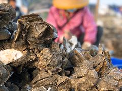 -蚝乡农庄(铁涌赤岸店)