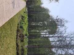 -九科绿洲