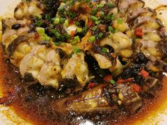 -梧桐庄园