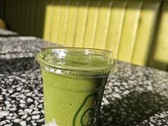 -油梨树AVOCADO TREE(顺义新国展店)