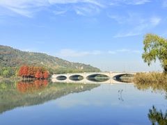 -长广溪湿地公园