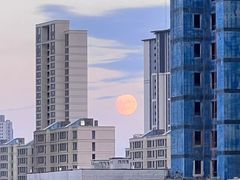 -喝丢一只鞋海鲜烧烤(文体街店)