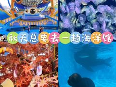 -海合安天津极地海洋公园