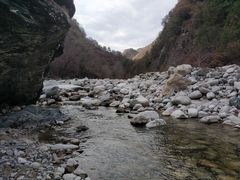 -黑河国家森林公园