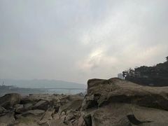 -朝阳正码头