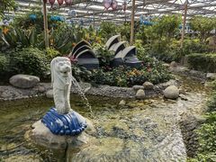 -南宫五洲植物乐园