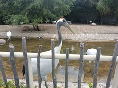 -齐齐哈尔龙沙动植物园