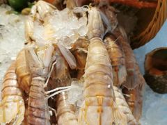 -美食汇·海鲜自助餐·家庭聚会·商务宴请(青秀万达文华店)
