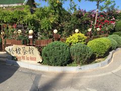 -怪坡茶馆