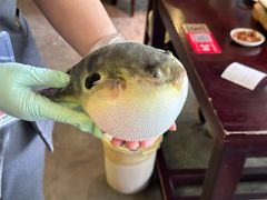 -永安鱼庄·镇江菜(东吴路店)