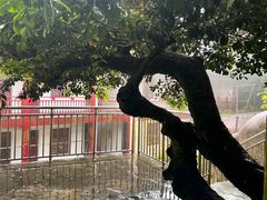 -普陀山慧济禅寺