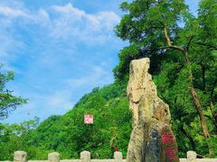 -泰山风景名胜区