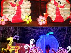 -南宫五洲植物乐园