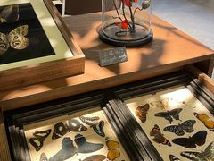 -中旅阿那亚九龙湖·公主酒店