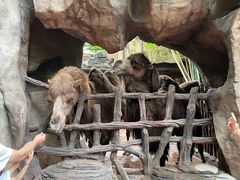 -长鹿旅游休博园