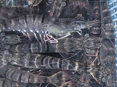 -嗨牛味海鲜烧烤