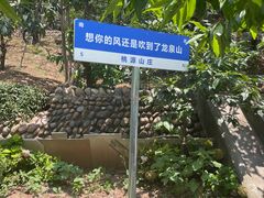 -桃源山庄·水蜜桃采摘·柴火鸡·烧烤团建(龙泉山店)