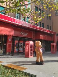 -哈姆雷斯(王府井百货大楼店)