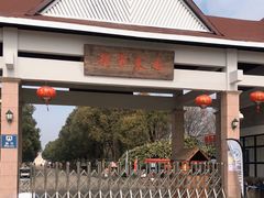 -上海都市菜园