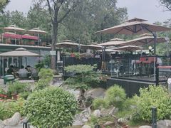 -蘇河湾·新鲁菜·泰山宴(泰山店)