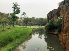 -海珠儿童公园