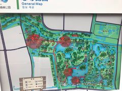 -昆山城市生态森林公园