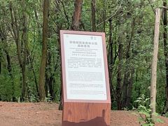 -磬锤峰森林公园