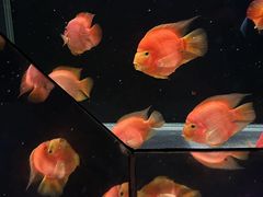 -海合安天津极地海洋公园